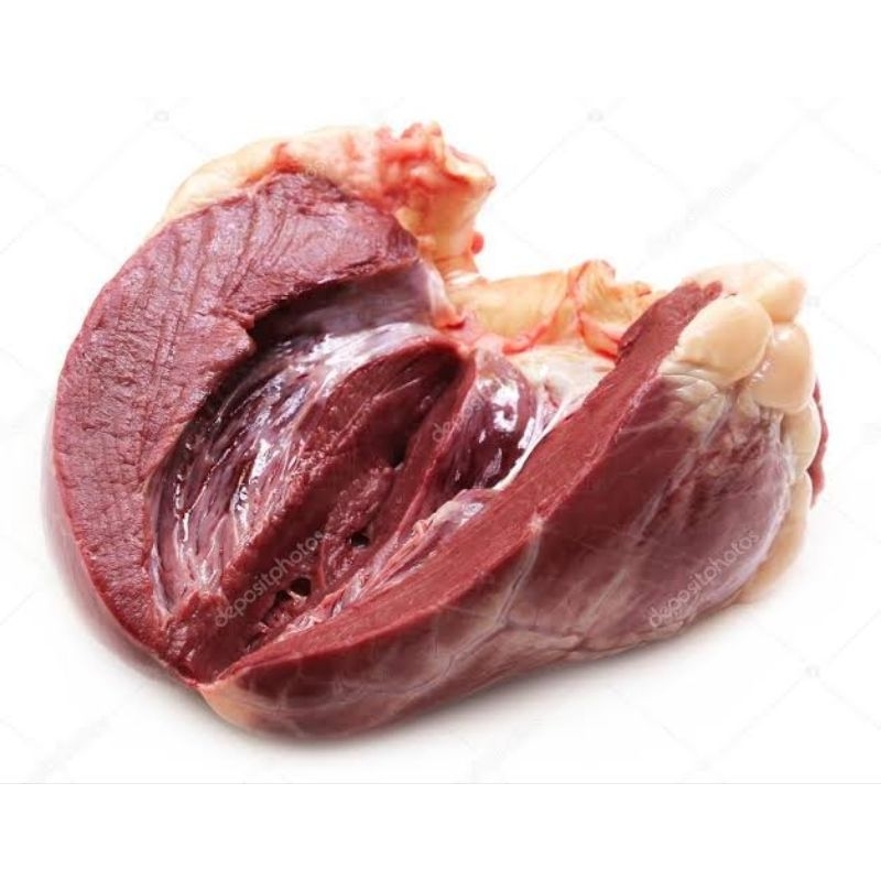 

JANTUNG SAPI 500GRAM FRESH BERKUALITAS, TERMURAH