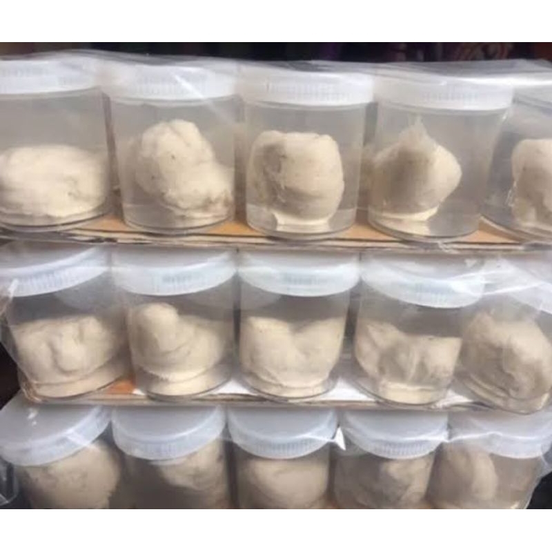 Pulut burung getah karet 20cc  pulut getah bendo pulut burung getah benda pulut burung super pulut b