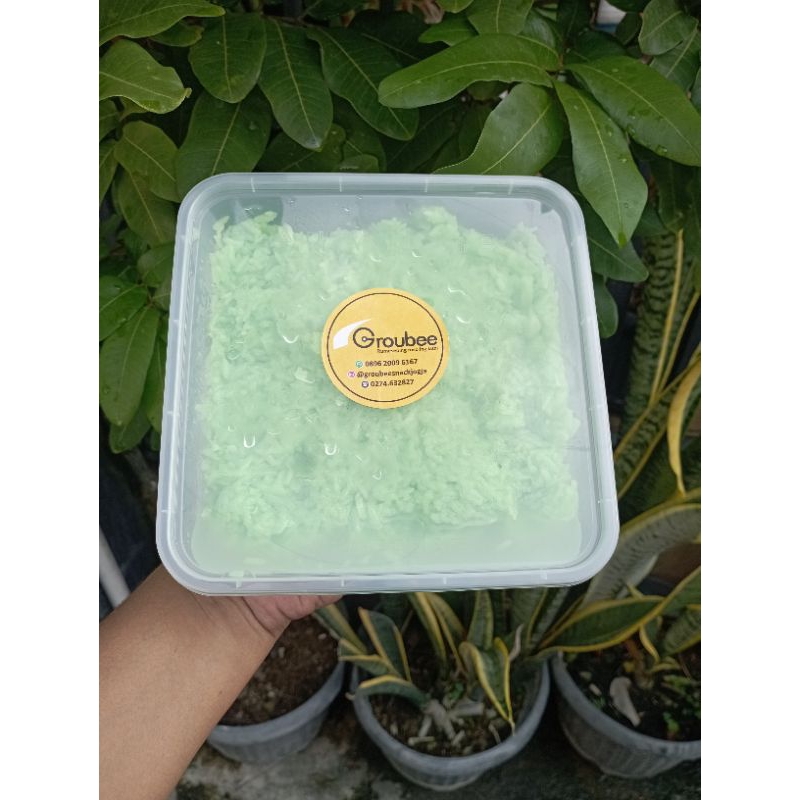 

TAPE KETAN MUNTILAN | TAPE KETAN LEBARAN | Kemasan 1 KG