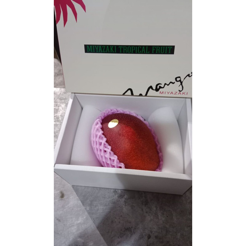 

MANGGA MIYAZAKI PREMIUM BOX JAPAN