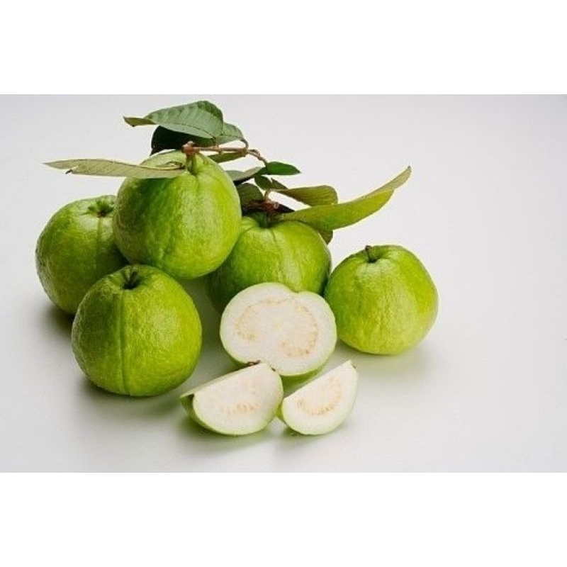 

Buah Jambu Kristal 1000 gram