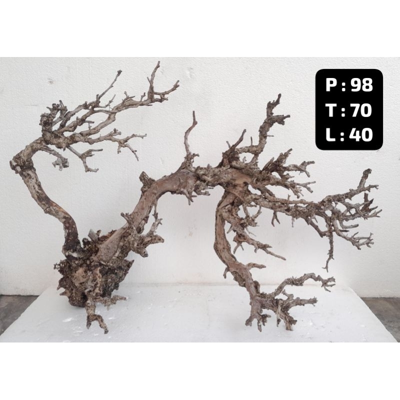 Kayu Aquascape - Kayu Santigi (Besar)