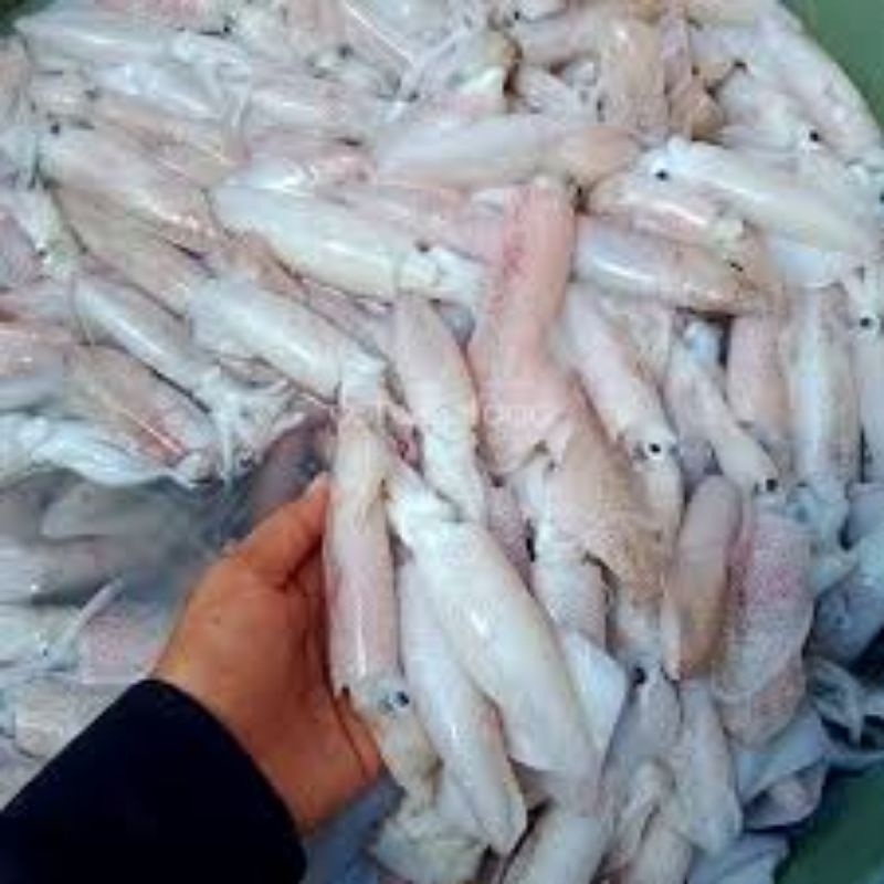 

cumi sero/telur 1 kg