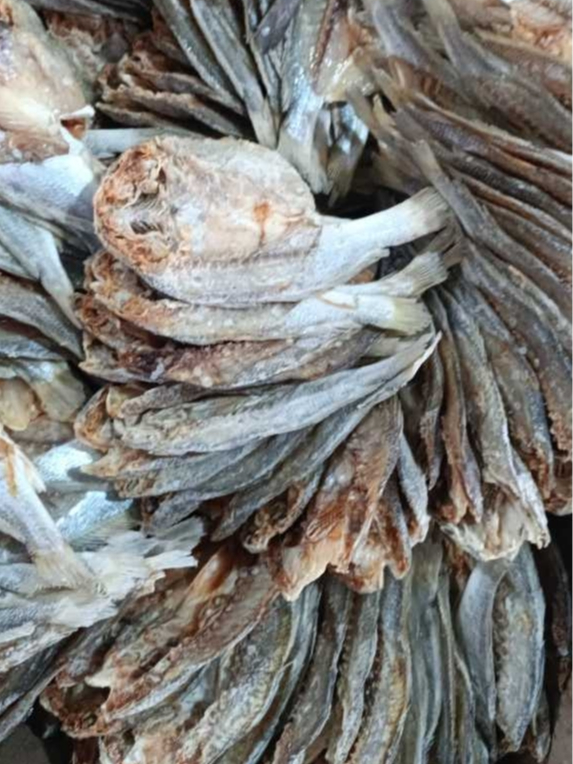 

Ikan asin Kepala Batu Belah / Glomo Super