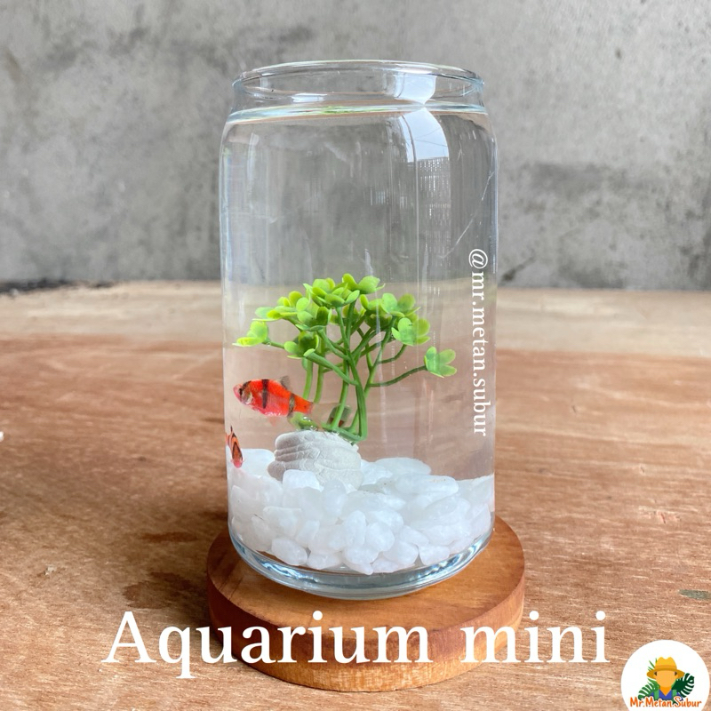Aquarium kaca mini estetik untuk meja kerja kantor rumah dll