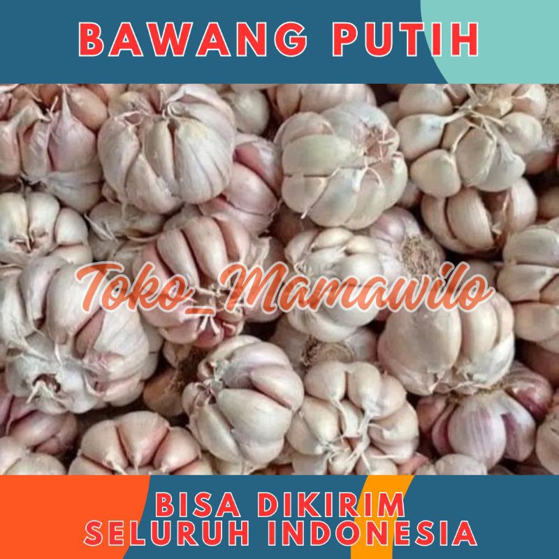 

Bawang Putih Kering Bersih Fresh 1/2 kg 500gr 500 gr gram murah - Aneka Bumbu Dapur Sayur Sayuran