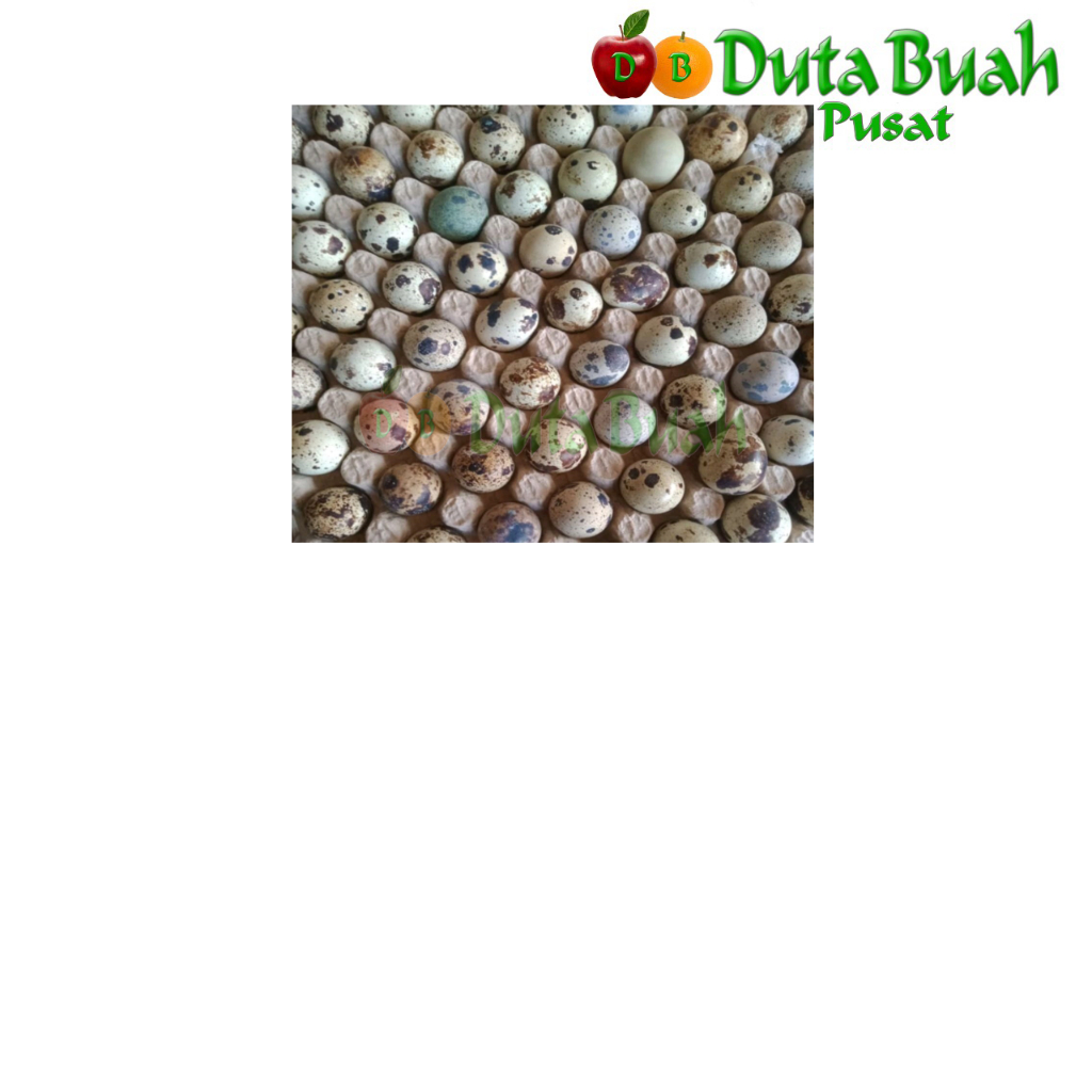 

Duta Buah Telur Puyuh ( +-350g/20 butir )