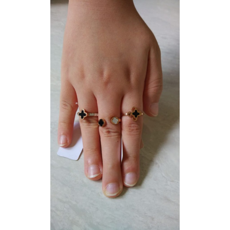 CINCIN VAN CLEEF TITANIUM