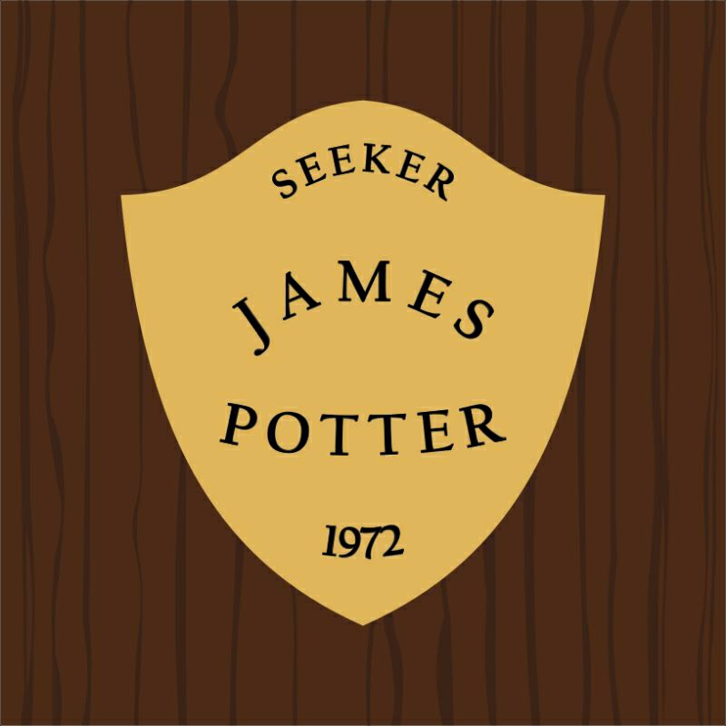 QUIDDITCH PLAQUE PIN CUSTOM