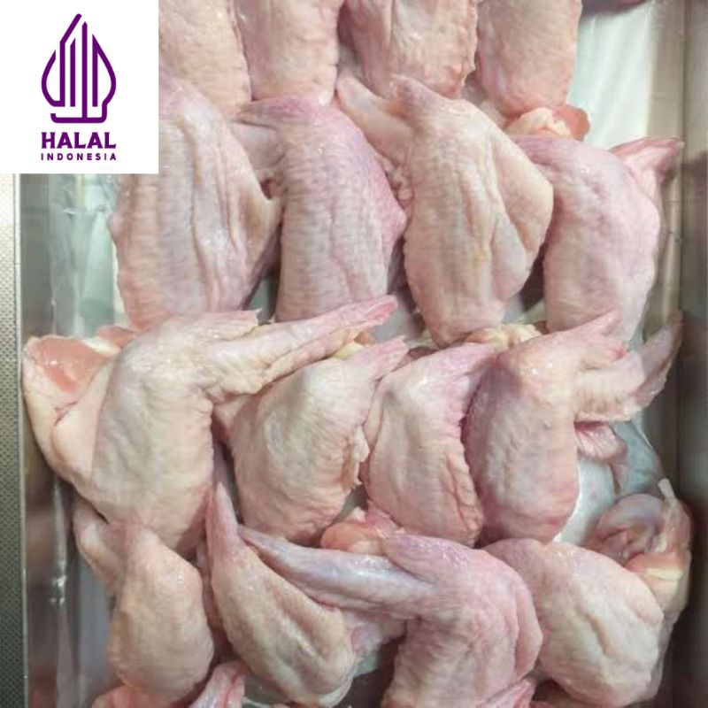 

Sayap Ayam Segar dengan berat 250 gram - 1 kg