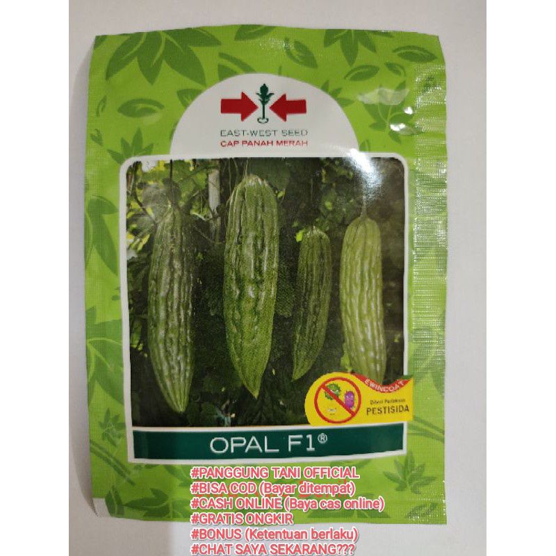 

Benih Paria Pare Opal F1 Isi 50 Btr Exp 2025 (Terbaru)/Termurah (Seindonesia)/Perawatan Mudah/Anti Virus Gemini, Puret (Kriting daun) /Rasa Nikmat/Kulit Buah Halus warna cerah/Panen Melimpah/Buah Berbobot Lebat/Tahan Simpan/100% Ori Kemasan Pabrik