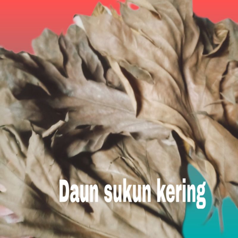 

Daun sukun kering/60 gr