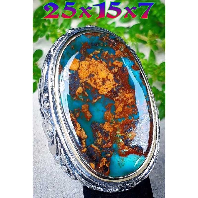 Pirus Persia Jumbo Serat Emas Super Bagus.