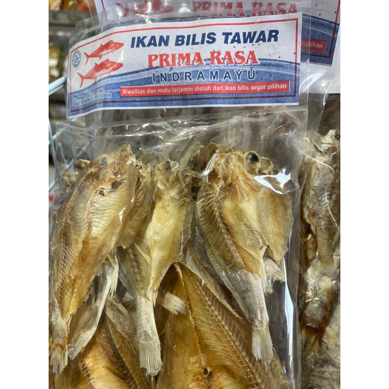 

Gesek ikan bilis