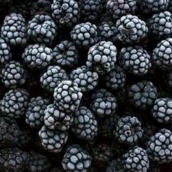 

Blackberry Frozen 1kg