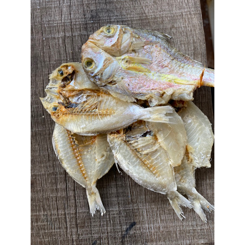 

Ikan Kaca-kaca atau Cermin