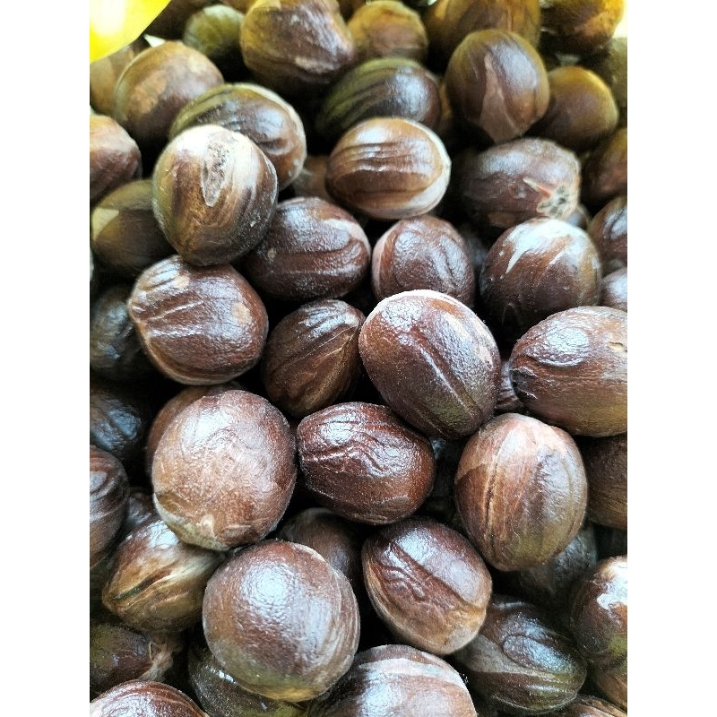 

biji /buah pala bisa cod/ grosir langsung dari petani