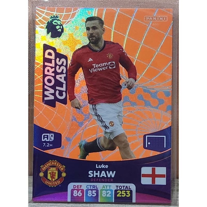 Panini football card premier league edition