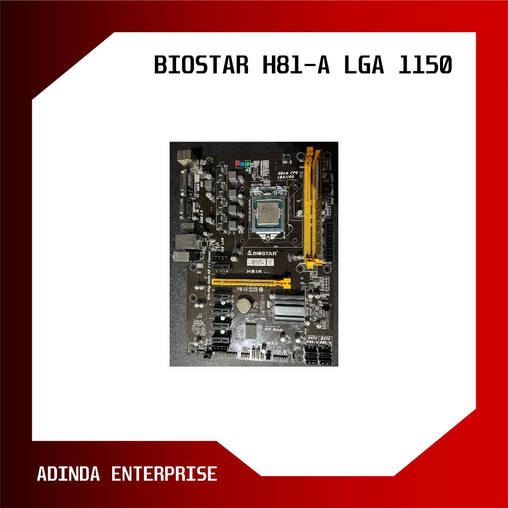MOTHERBOARD BIOSTAR H81-A SOCKET LGA 1150 FREE PROCESSOR PENTIUM