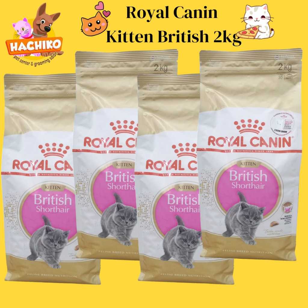 Royal Canin Kitten British Shorthair 2kg/RC Kitten BSH