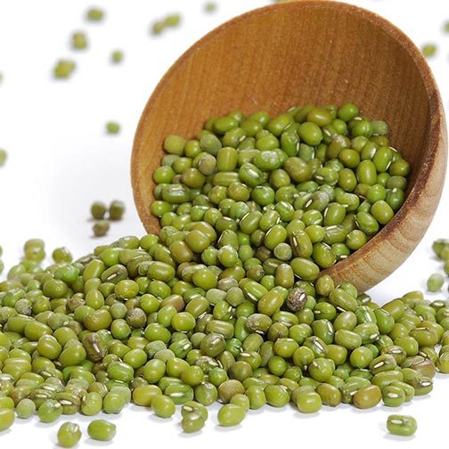 

Natural Mung Bean ( Kacang Hijau ) 500 Gr