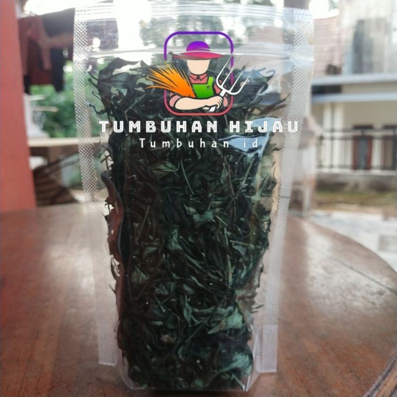 

Daun Sambiloto Kering Sambiloto Kering dan Alami