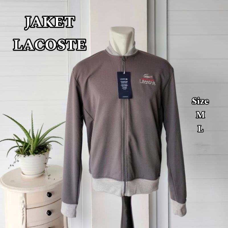 bomber Lacoste