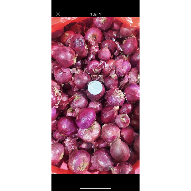 

bawang merah import/ bawang merah padang