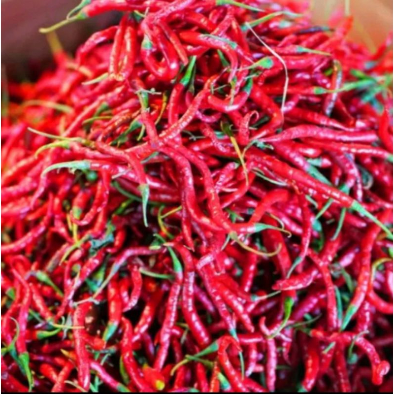 

Cabe keriting Merah Segar 500Gram / Cabai Khusus Instan