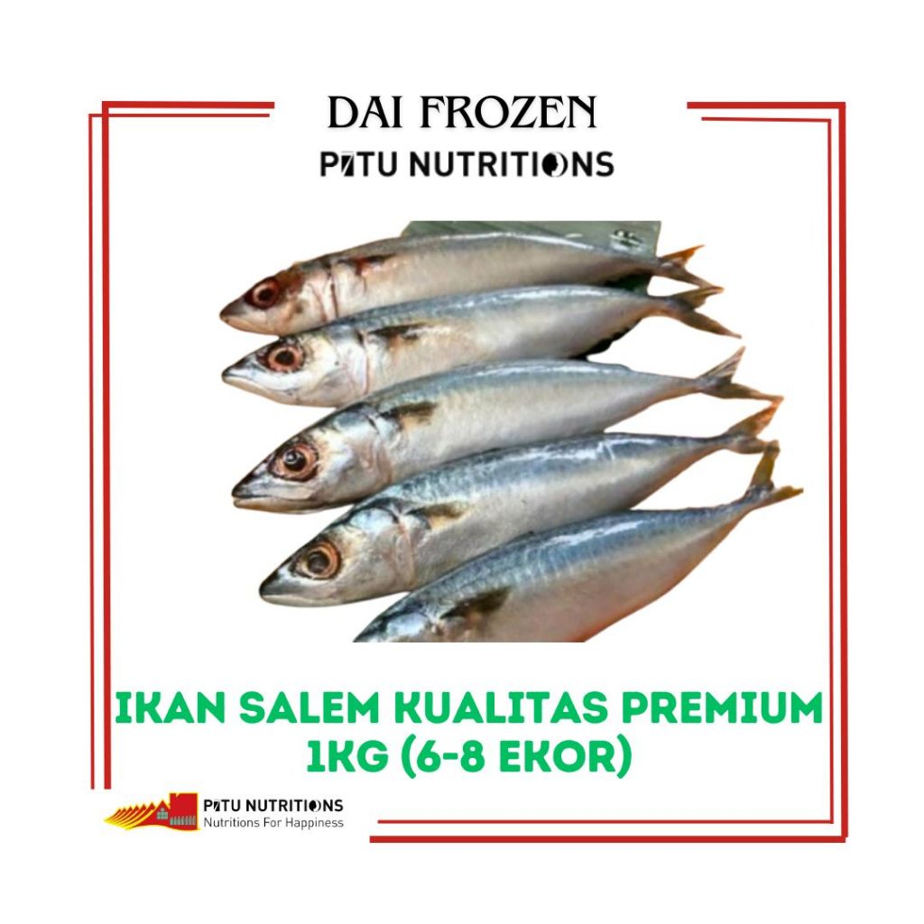 

Ikan salem kualitas premium ±1,5kg frozen (8 ekor)