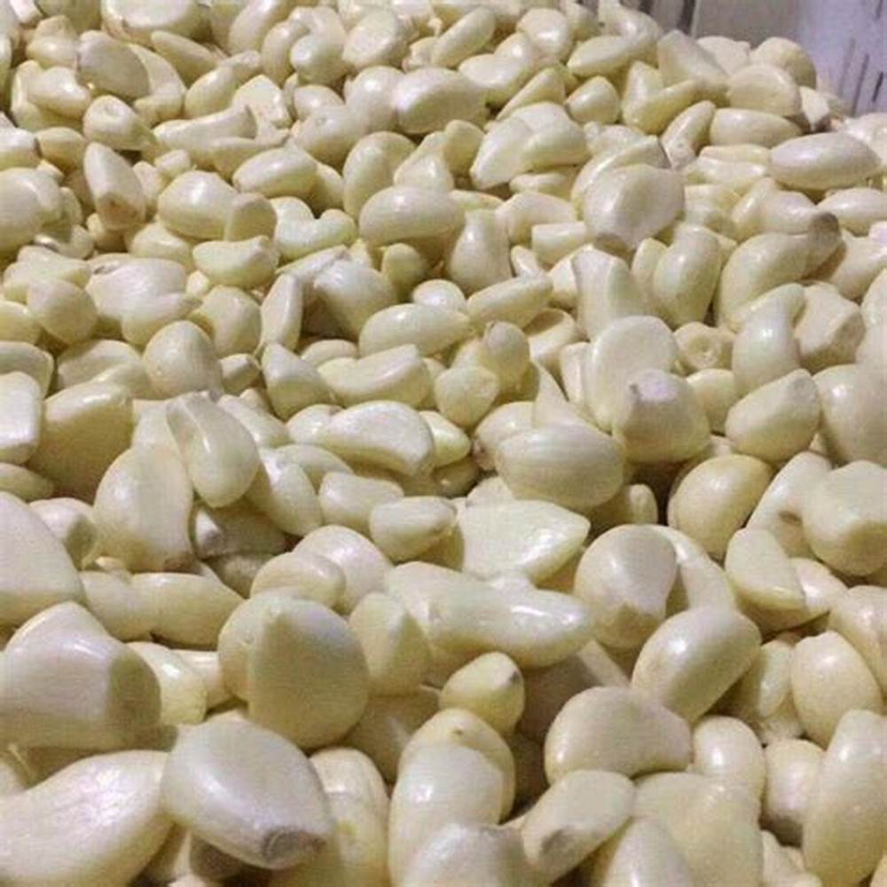 

bawang putih kupas fresh