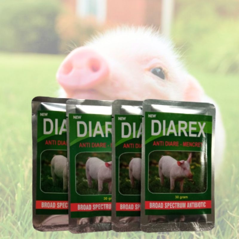 OBAT MENCRET BABI ANTIBIOTIK ANAK BABI SAKIT DIARE