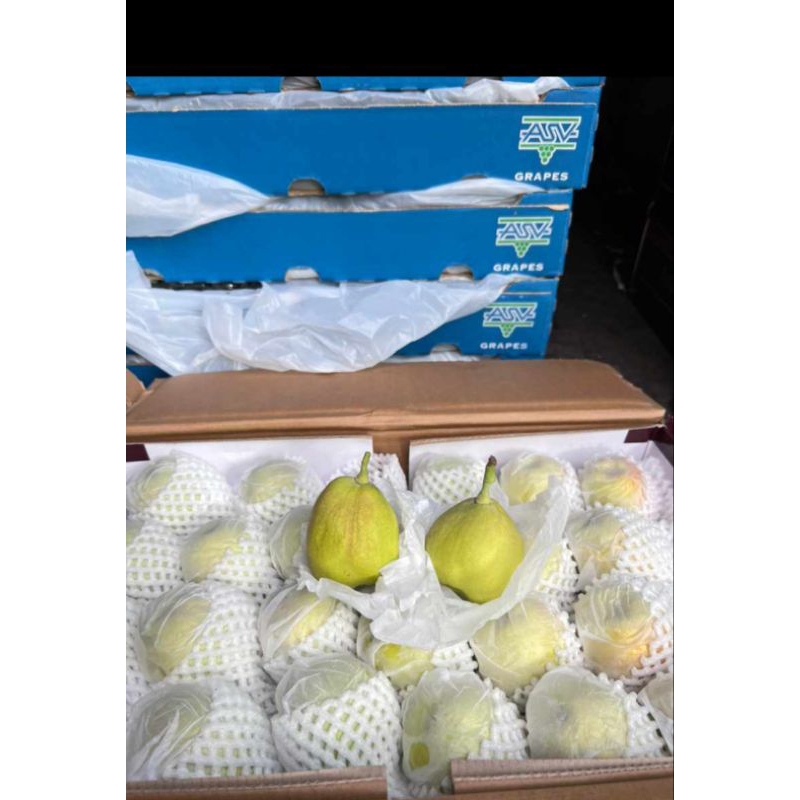 

Pir Xiang Lie 7kg 1 Dus Manis Banget Stok Baru