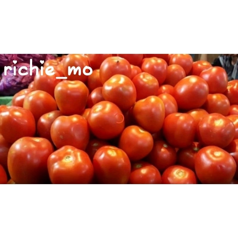 

Tomat fresh 500gr