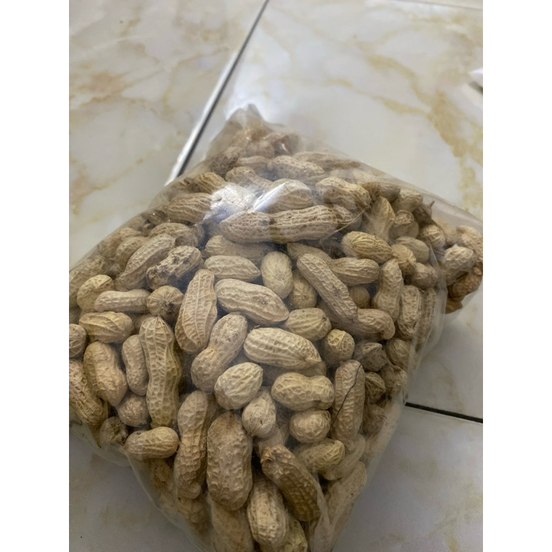 

kacang asin gurih pes reseller