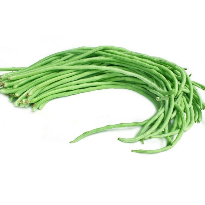 

Kacang Panjang Muda Pilihan