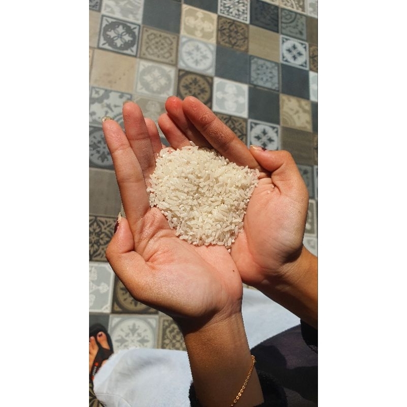 

BERAS PREMIUM RAJA LELE 2 KG