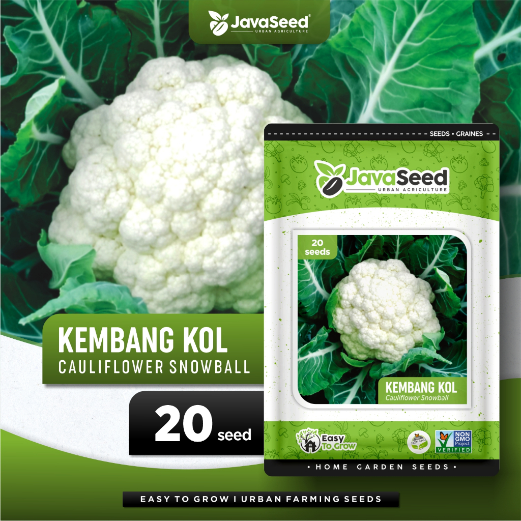 JAVASEED - Benih Kembang Kol Bunga Kol 20 Benih