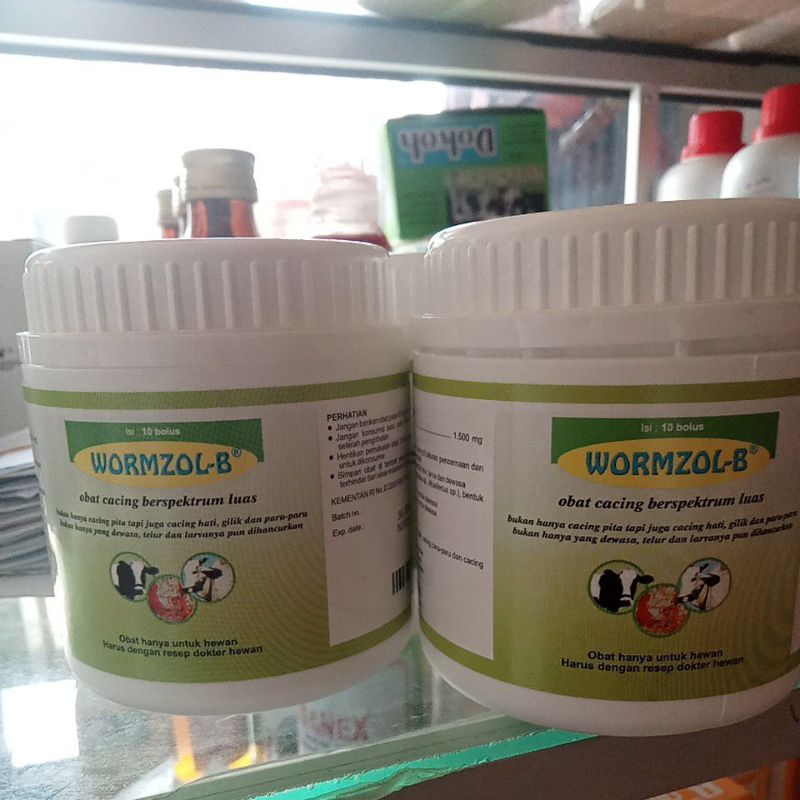 Wormzol-B/ WORMZOL-B/ Obat Cacing Berspecrum Luas/ Pil Cacing Wormzol-B