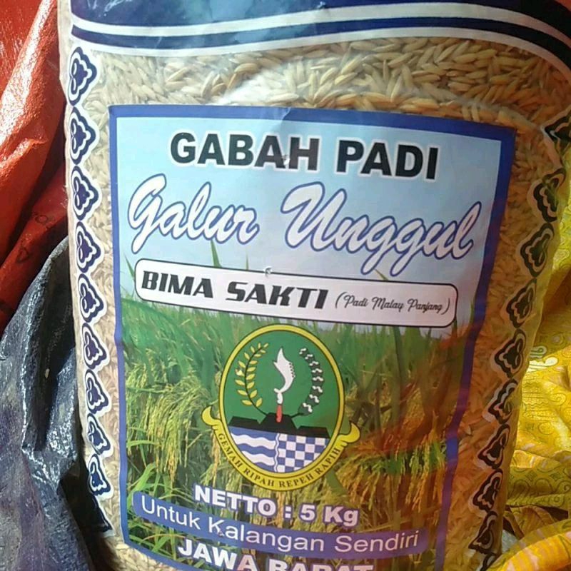 Benih padi Bima sakti 5 kg