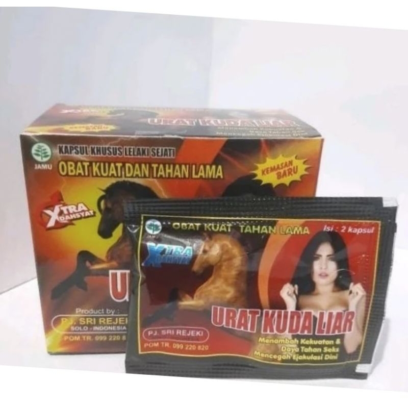 KAPSUL URAT KUDA LIAR