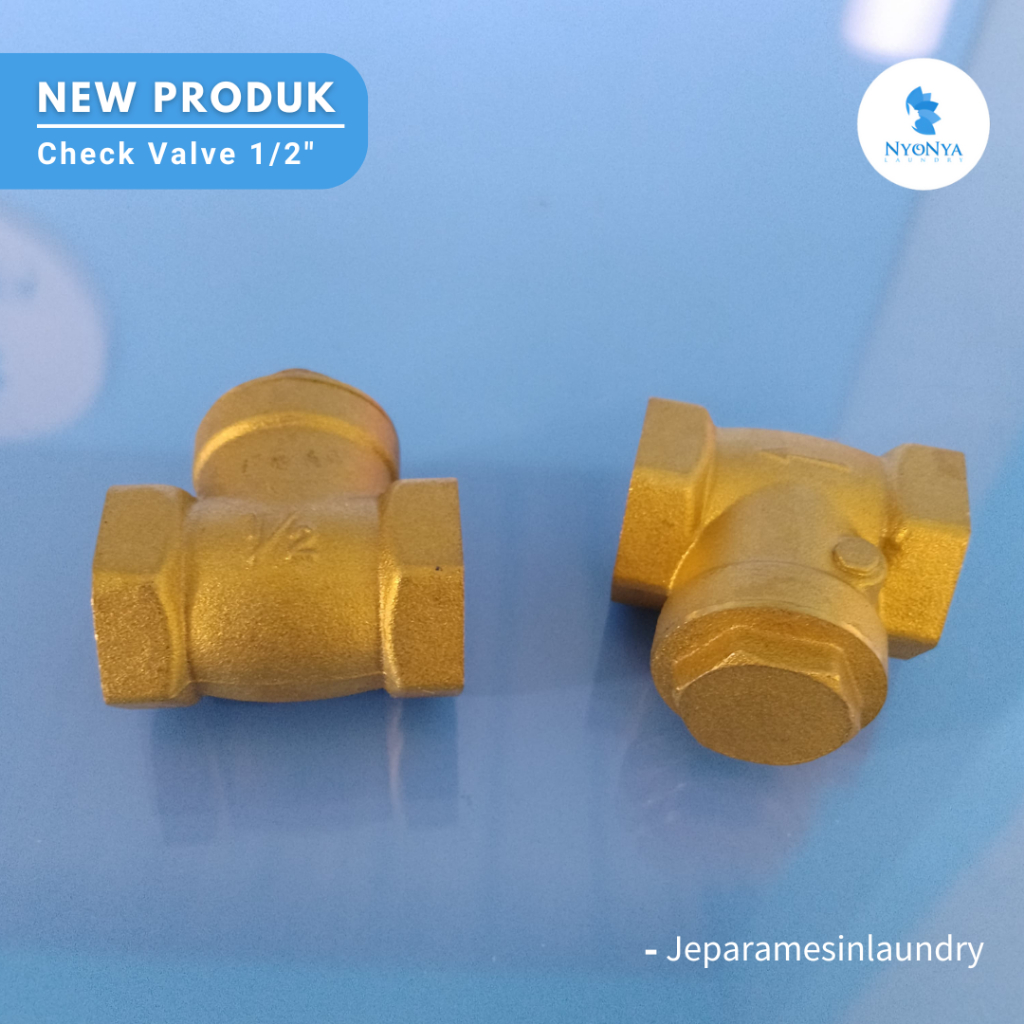 Check Valve 1/2" inch
