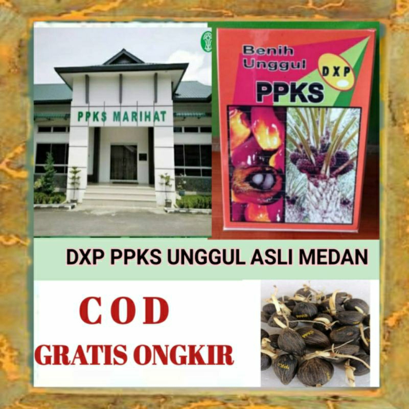 DXP PPKS 239 UNGGUL