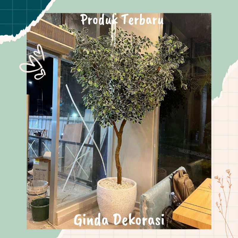 Hiasan Sudut Pojok Ruangan Pohon Plastik Beringin Variegata Artificial 2,5 Meter