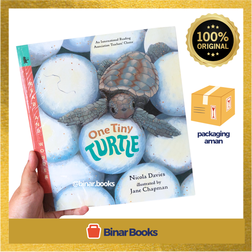 One Tiny Turtle Book by Nicola Davies (Read and Wonders Book Series)