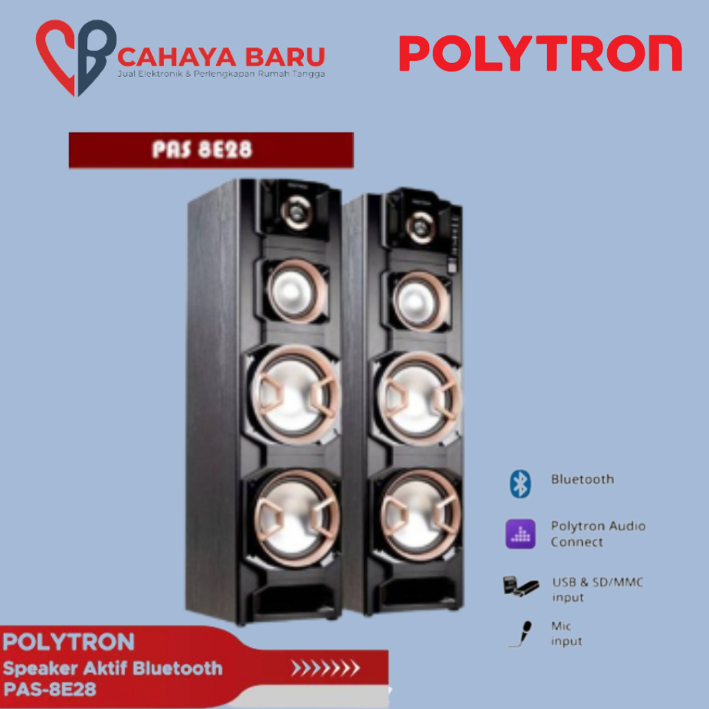 POLYTRON SPEAKER PAS 8E28