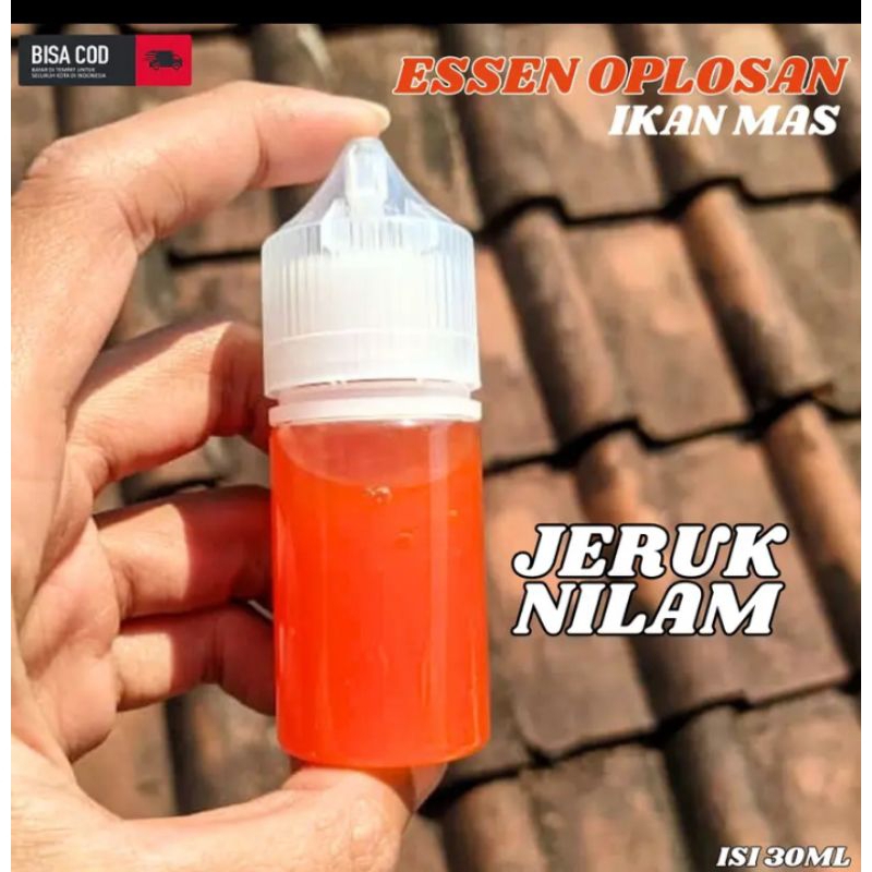ESSEN IKAN MAS OPLOSAN AROMA DOMINAN JERUK NILAM