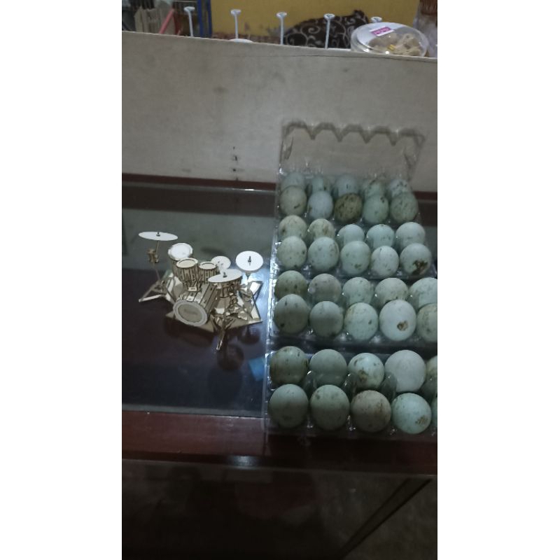 

Telur bebek mentah
