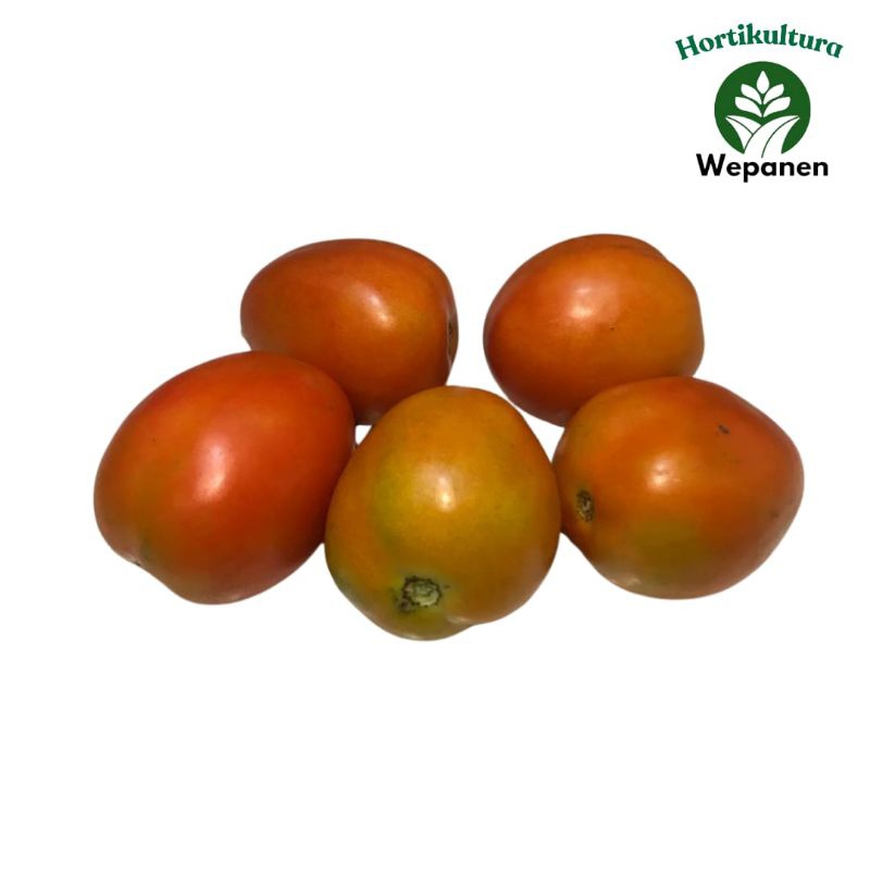 

Kirim Instant Tomat Merah Servo Fresh 500gr