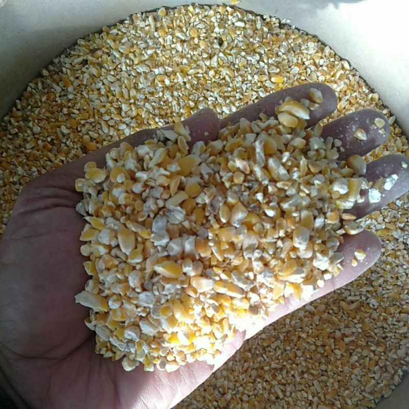 Jagung pecah poles jagung pakan burung jagung merpati 1kg
